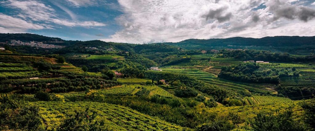 Vigneti terrazzati della Valpolicella con colline e paesaggi verdi